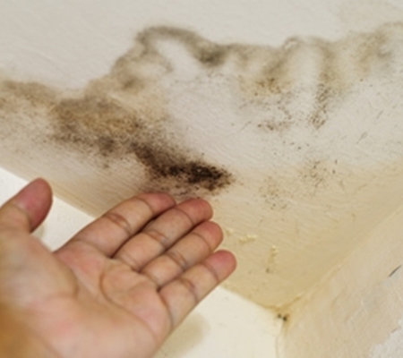 다르다누수탐지 다르다방수공사 PC 이미지 1122083